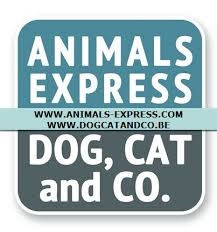 DogCatandCo