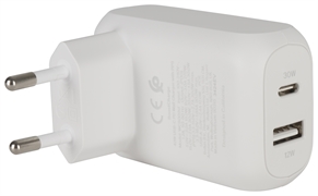 BELKIN 2-POORTS WANDLADER (42 W)