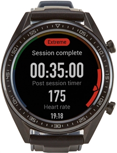 HUAWEI WATCH GT (46 MM)