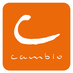 Cambio Bruxelles